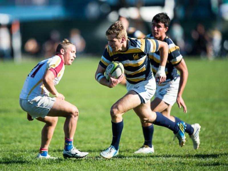 bibcal 2014 barpal 3 0