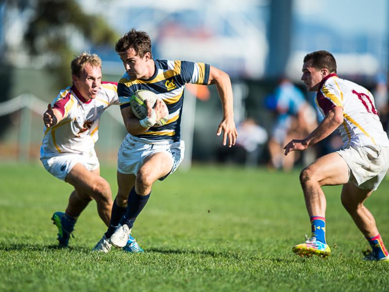 bibcal 2014 barpal 6