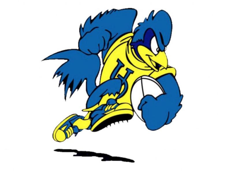 blue hens rugby logo