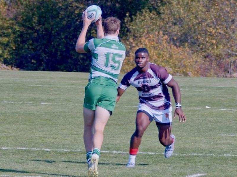 brown vs dartmouth 2025 3761