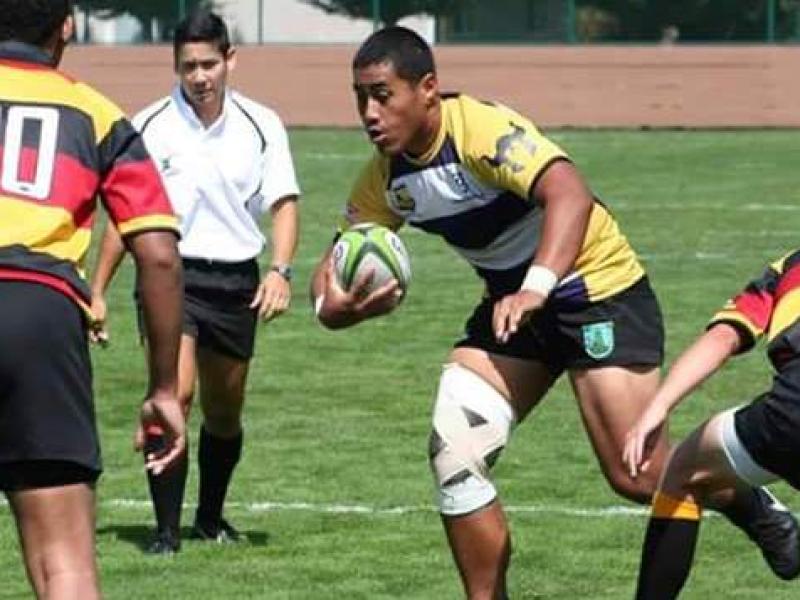 buddbay2017 ivan pula