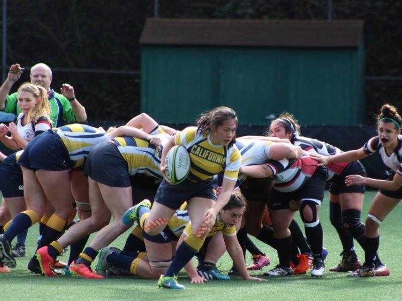 cal v chico   january 30   cal womens rugby