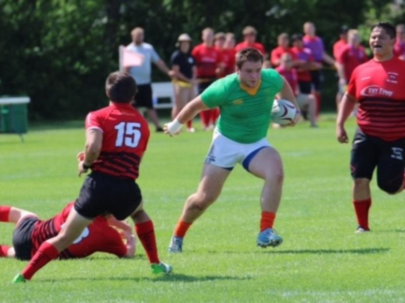 celts allisonbradfield