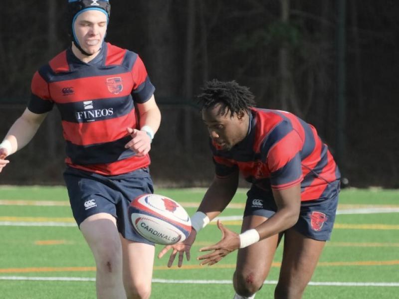 charlotte cardinals 2025 ph dan caple 3771