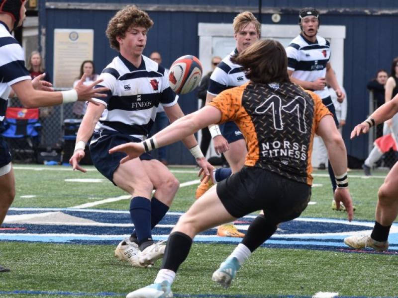 charlotte cardinals vs tigers 2024 alan mitchell 0082