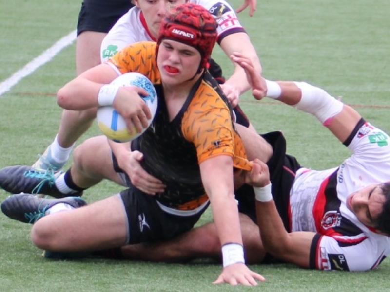 charlotte tigers carolina ruggerfest 2024 5
