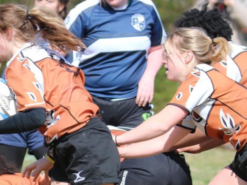 charlotte tigress in action 2021