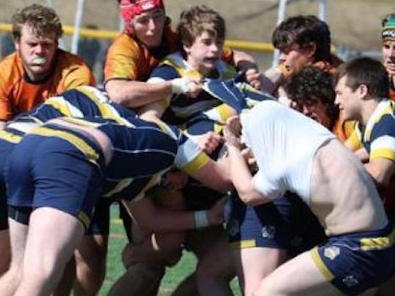 charlotte vs sihs marty lenihan 30761