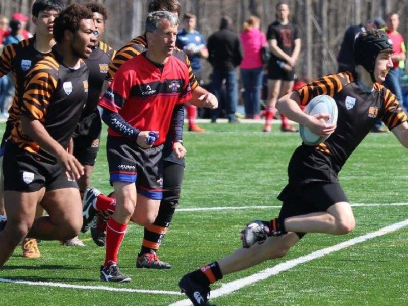 charlottetigers2016 1