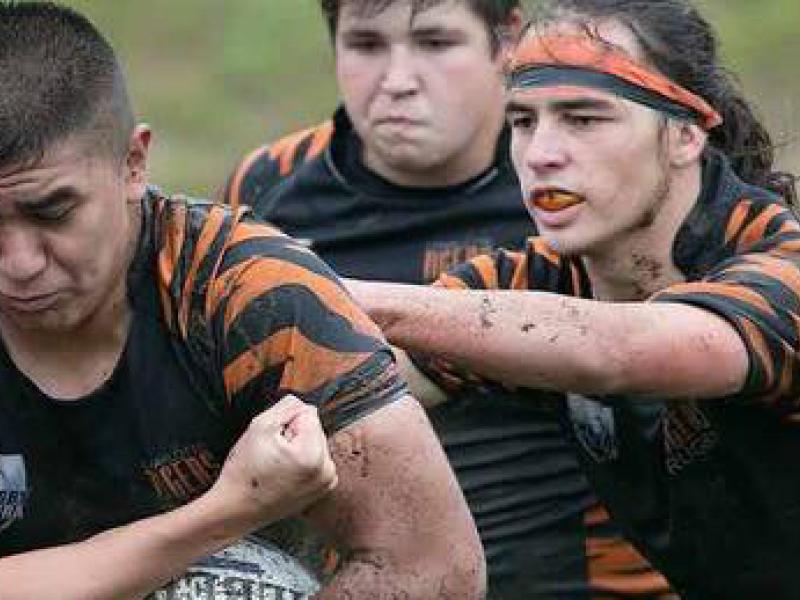 charlottetigers2016 2