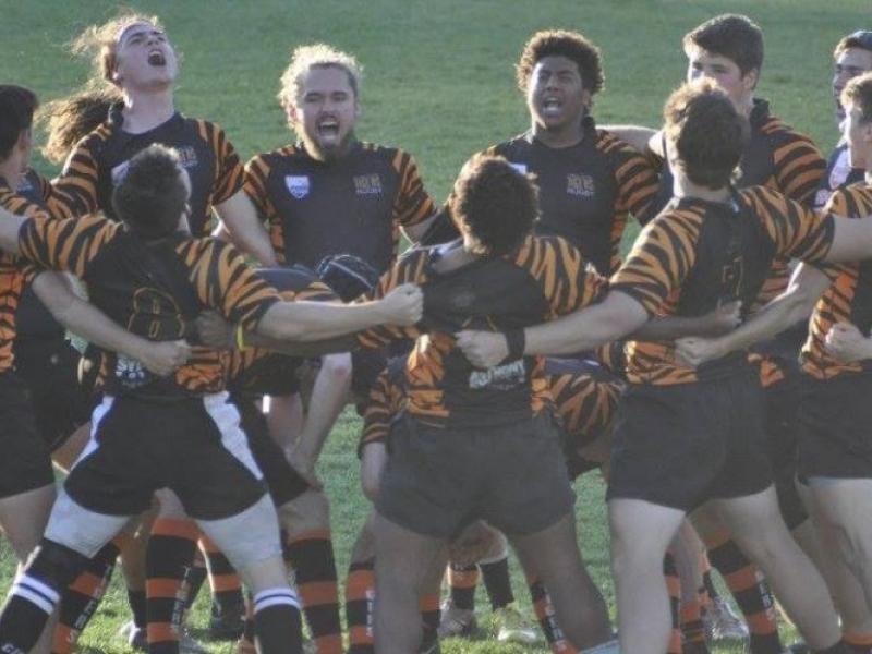 charlottetigershuddle2016 1