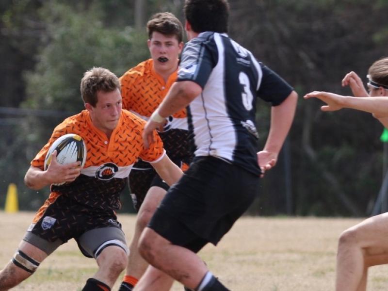 charlottetigersvchapelhill