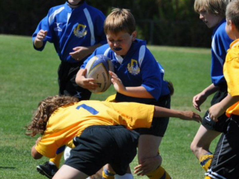 coastdragons 7s