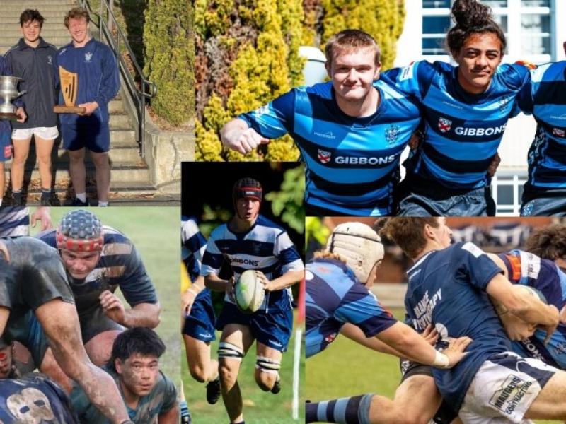 collage for site