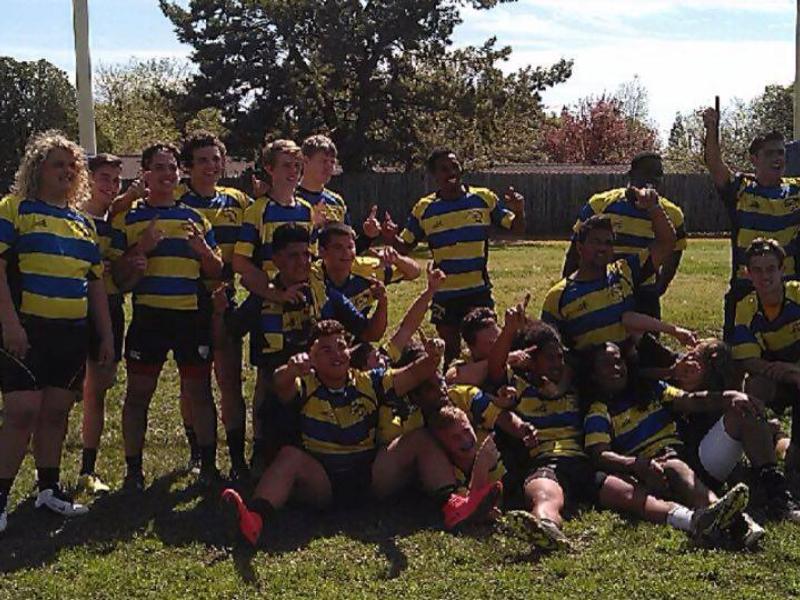 cougars norcal