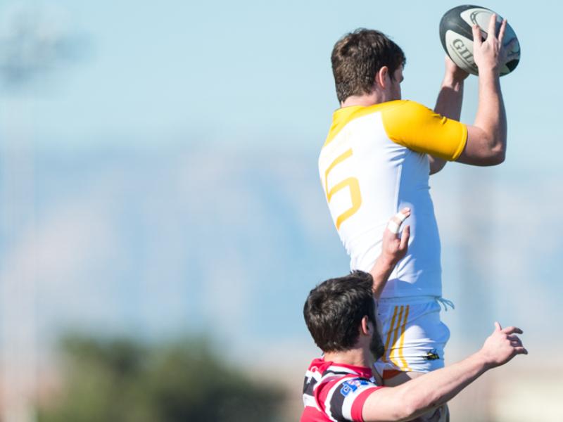 crcsemis lvi2015 barpal 2 wide