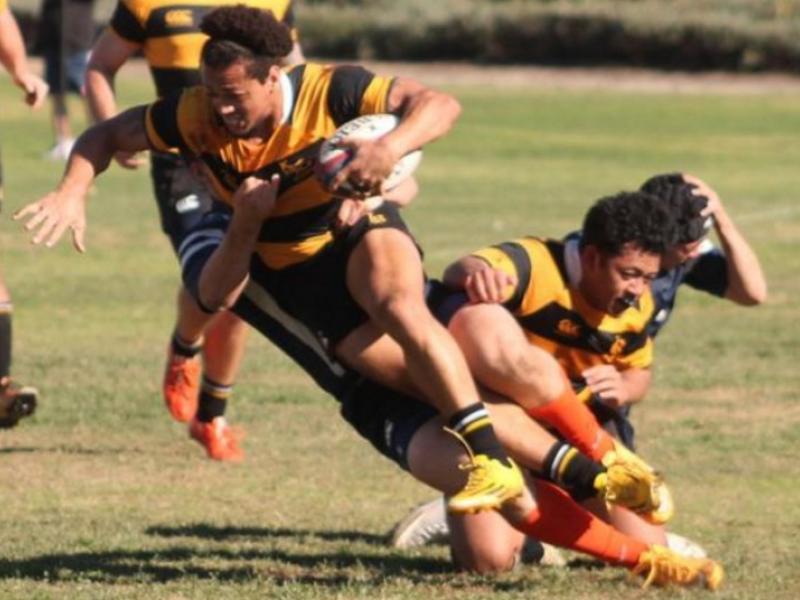 csulb 2016 2