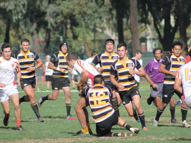csulbvusc2015 2