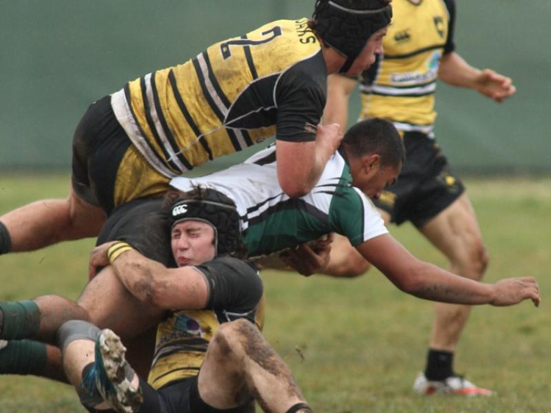 danville pg pacificcup pat conrad benhoffmanontopkevinsaunders below