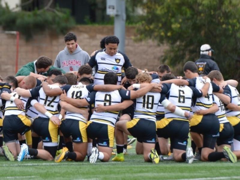 danvillehuddle danise cavanagh