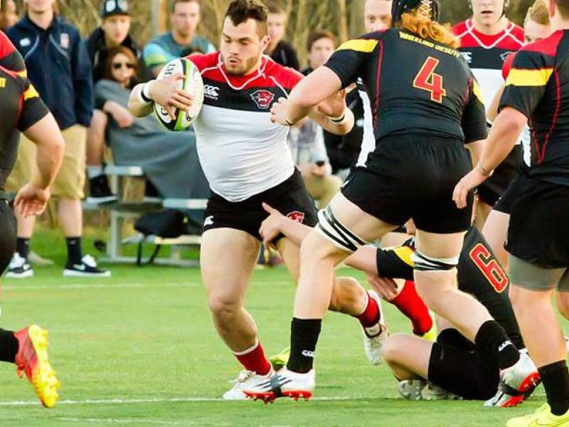 davenportvwju zomberg 2015 2