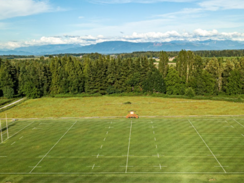 de wilde fields 2024 1