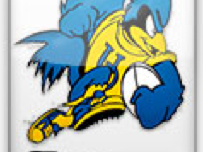 delawarerugbylogo