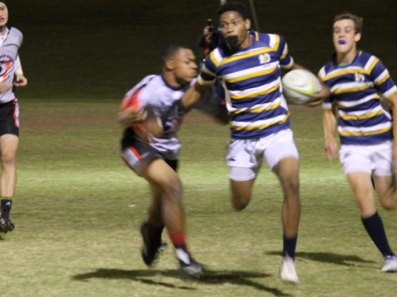 desert vista malachi knox