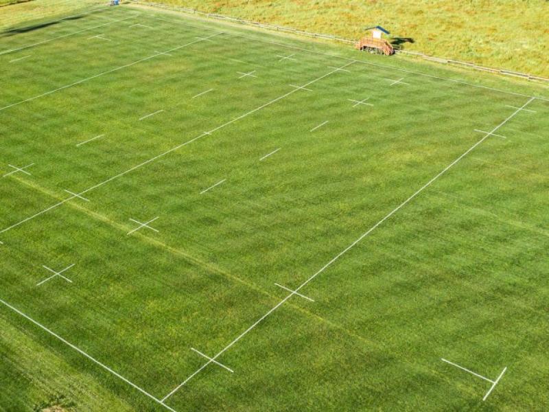 dewilde fields 2 0