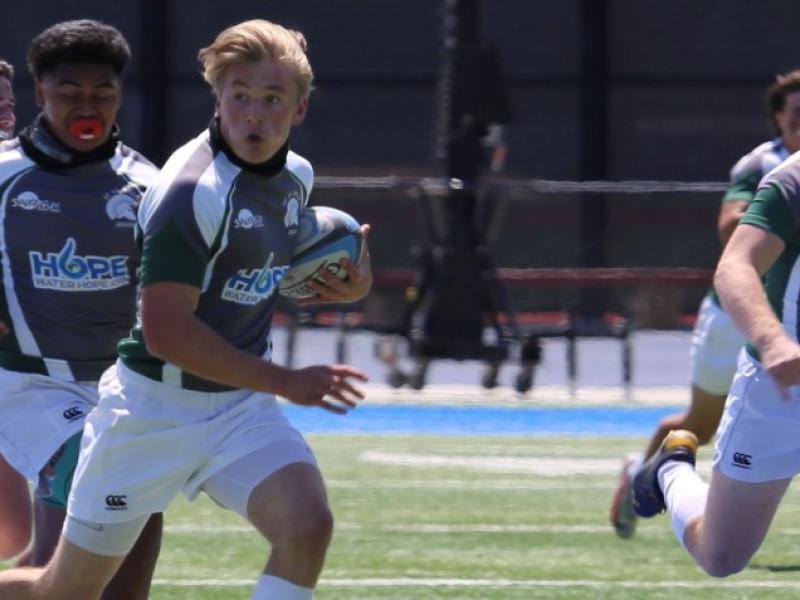 dls jr. sam carlson ph michael taft