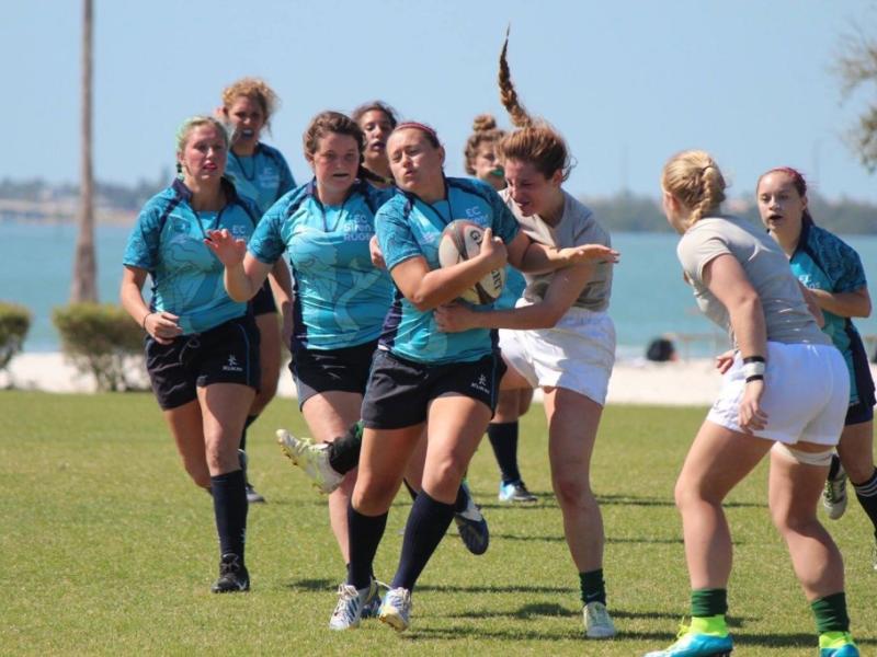 eckerd college mike geibel