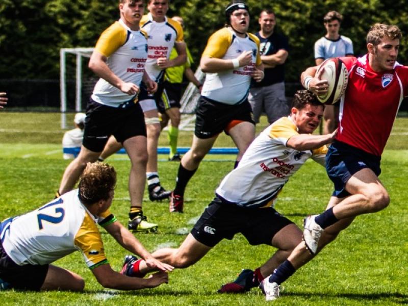 eirau17s 2016 bandoni 1