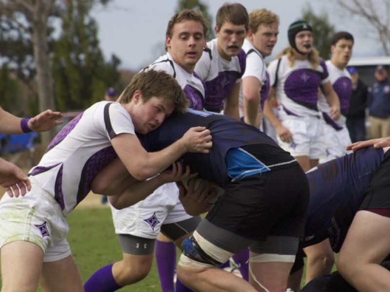 furmanvumd 2016 sophie harris 1