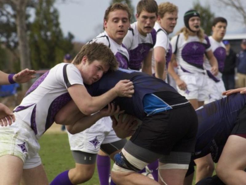 furmanvumd 2016 sophie harris 1 0