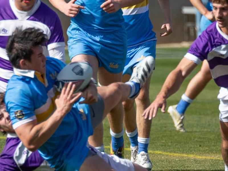 gcu v ucla 25 dalton 41