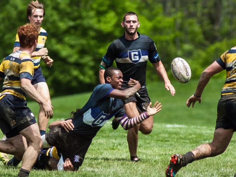 gonzaga stignatius 1649 2016 mccloskey