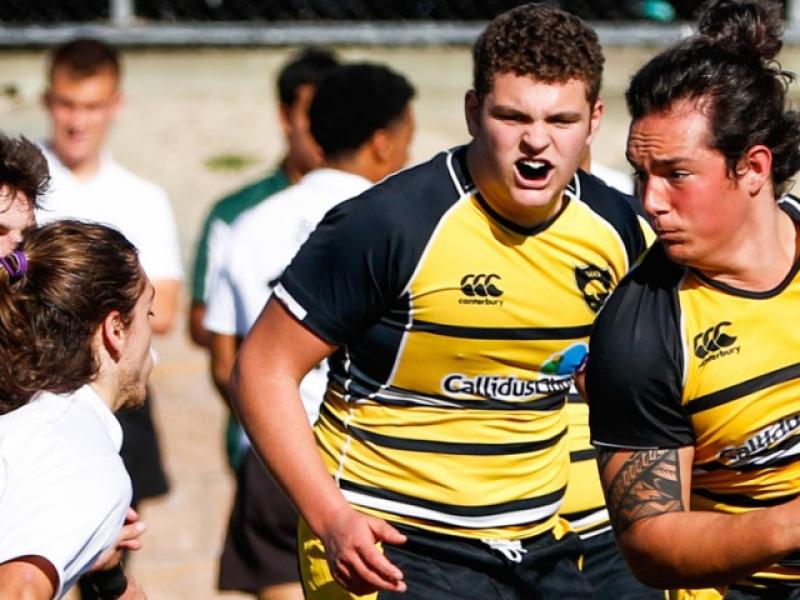 granitebay 2016 v danville dan bandoni 12