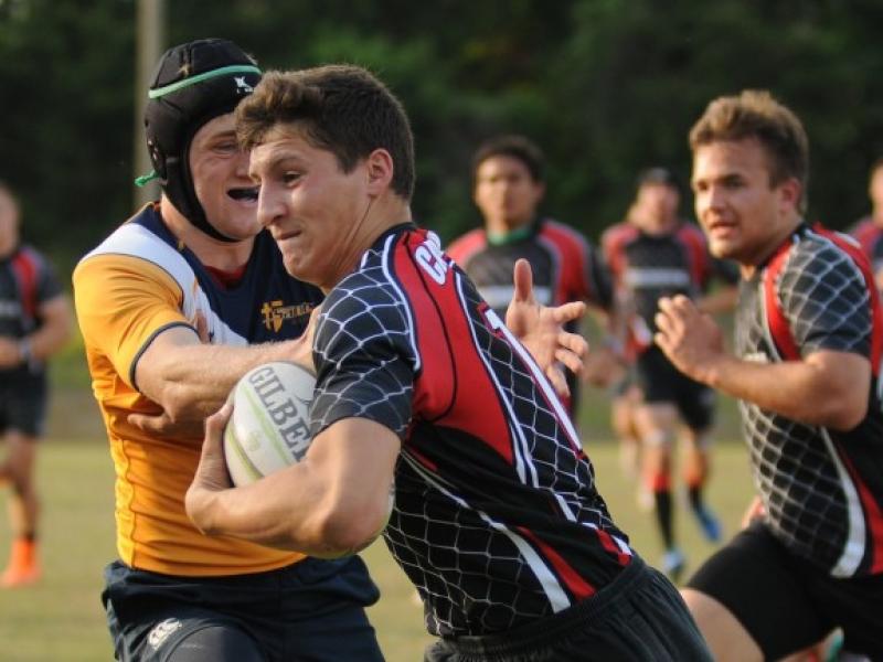 greenwich2015 nit tidey 2