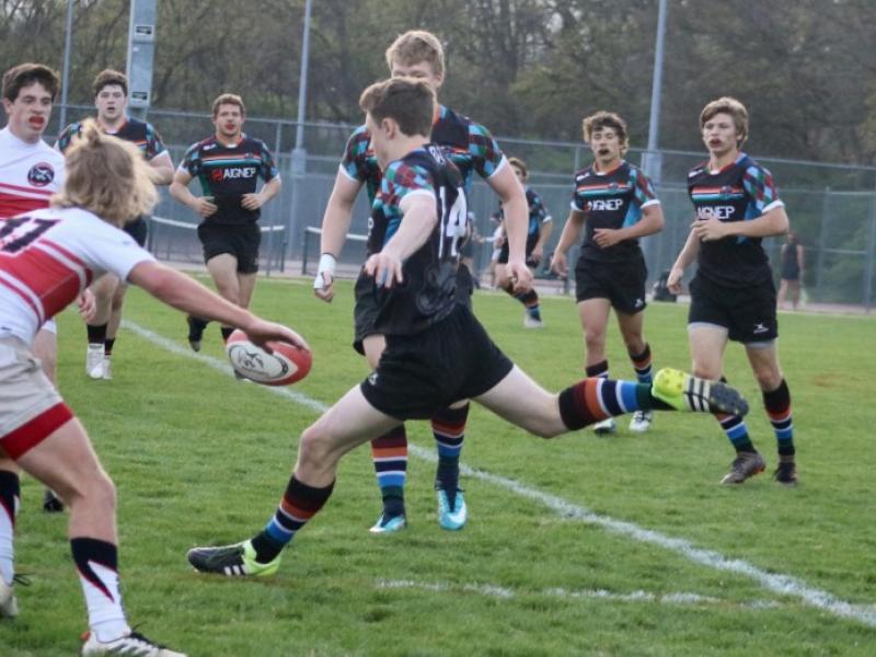 harpeth harlequins 2018 2