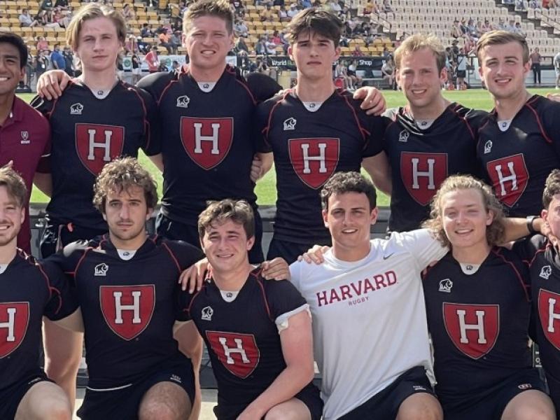 harvard rugby