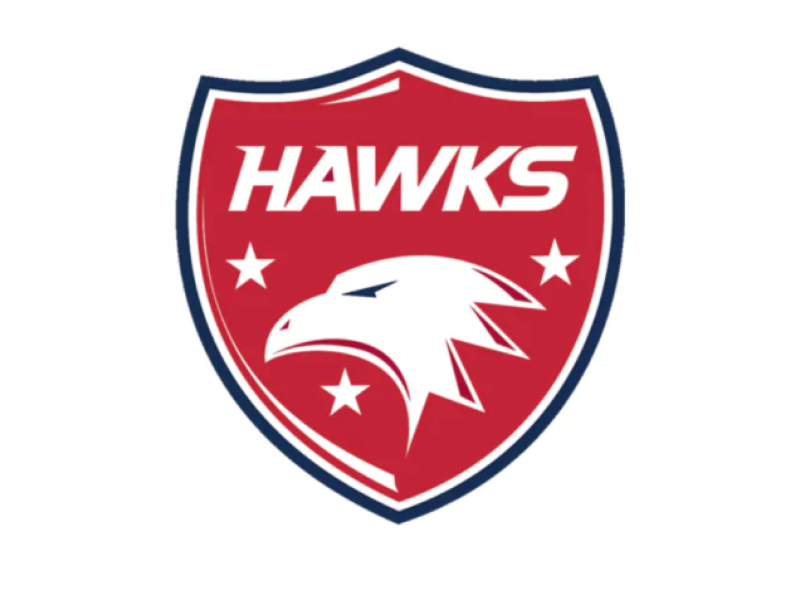 hawks logo