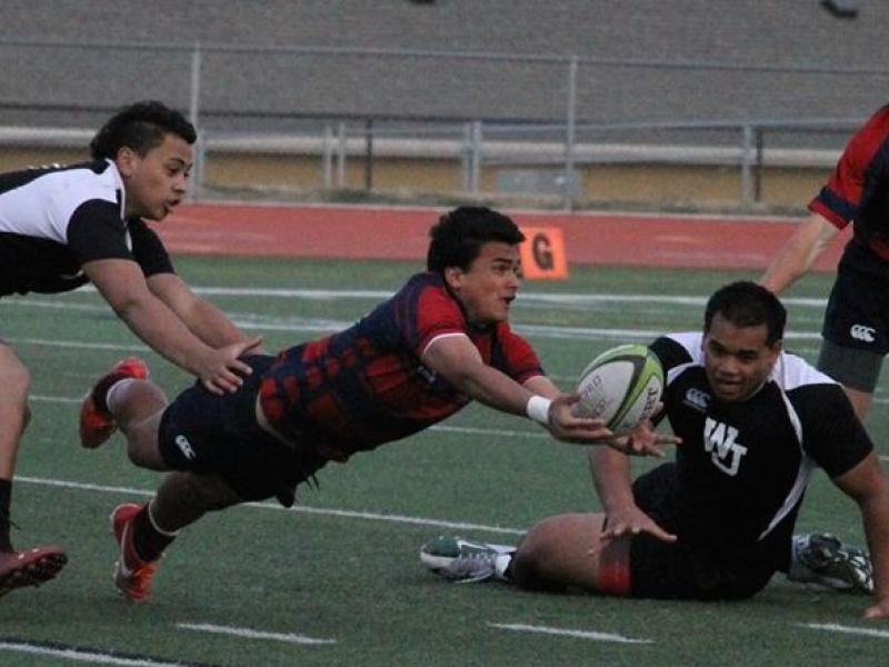 herrimanTomasi Tonga