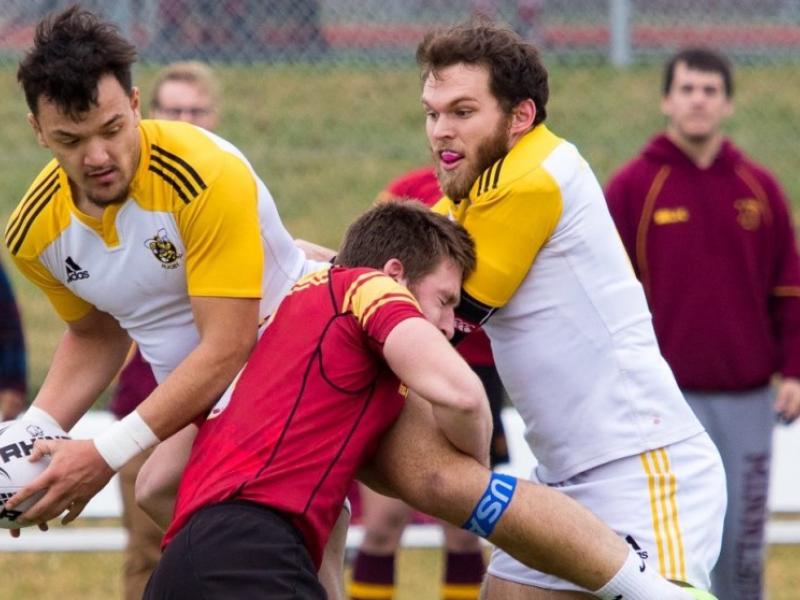 hoa7s2017 aic zomberg 3 0