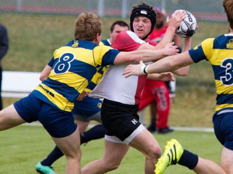 hoa7s2017 arkansas zomberg 3 0