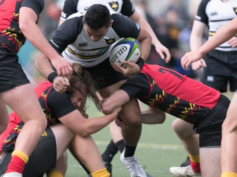 jesuitvdanvillefeb2017 sandi allan 2