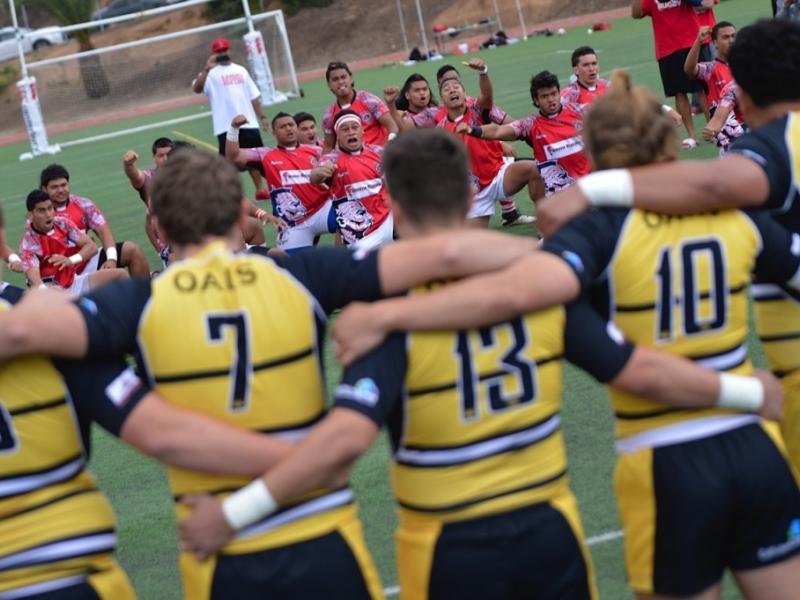 kahukuvdanville denise cavanagh 2