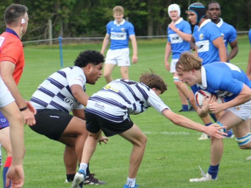 kc v fh alex goff 8038