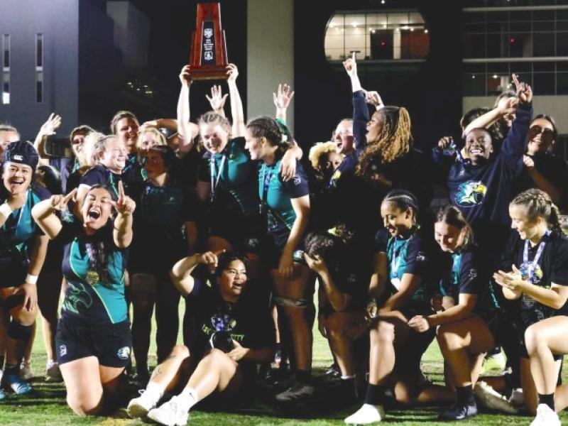 life wins d1 elite 0
