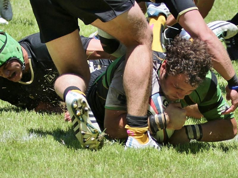 lifevlindenwood doctorhawkphoto 4