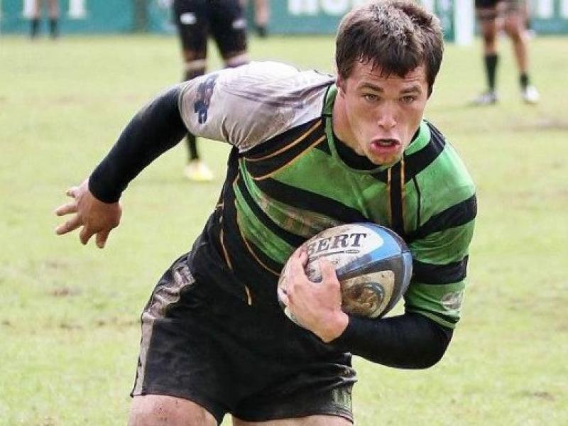 lifevlindenwoodspring2014 hawk 1 1